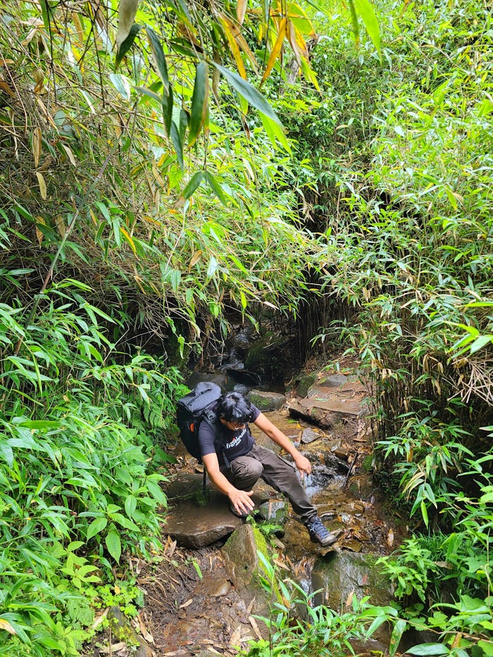 pexels photo 33014026.jpeg